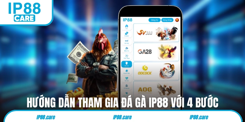 Hướng dẫn tham gia đá gà IP88 với 4 bước