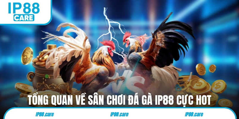 Tổng quan về sân chơi đá gà IP88 cực hot